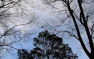 f0000521_1014249.jpg