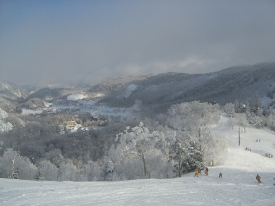 f0065126_2343302.jpg