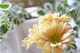 c0093830_1614843.jpg