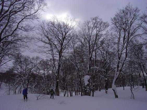 f0118332_22515450.jpg