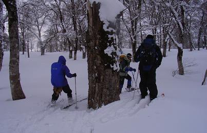 f0118332_23135615.jpg