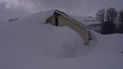 f0118332_234103.jpg