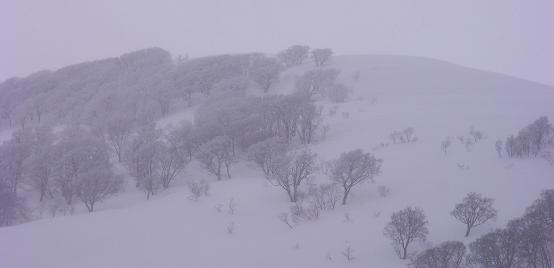 f0118332_2373414.jpg