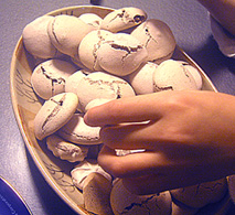 f0039934_3252579.jpg