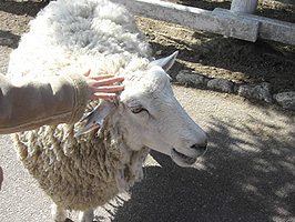 f0039934_372221.jpg