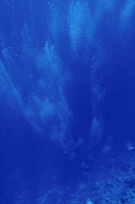 b0042837_210390.jpg