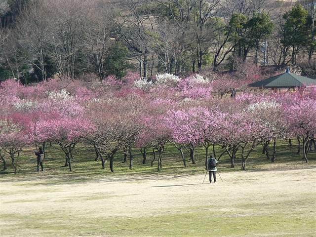 b0102639_22202485.jpg