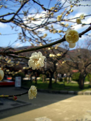 b0016043_0544488.jpg