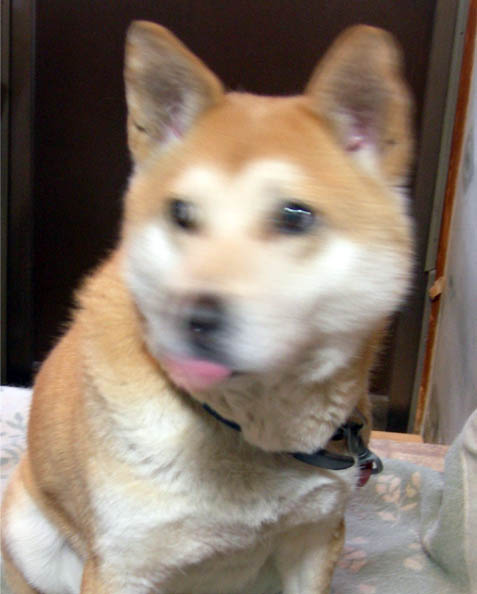 e0077145_233214100.jpg