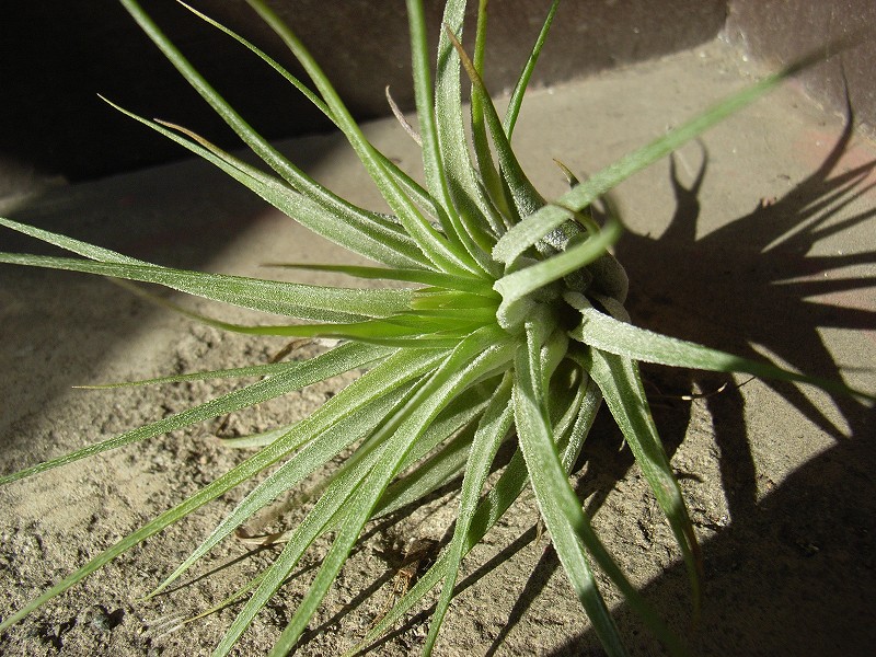b0029648_17243978.jpg