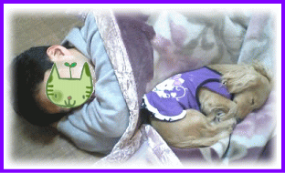 c0025852_9432121.gif