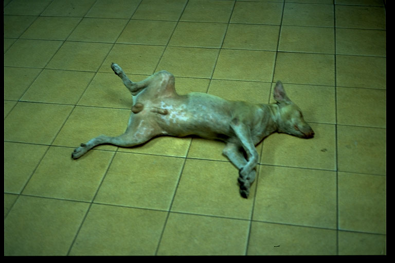 e0100152_21455876.jpg