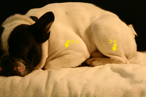 c0029654_12381147.jpg