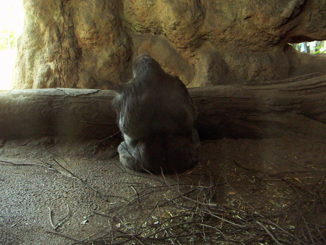 c0031856_2328951.jpg