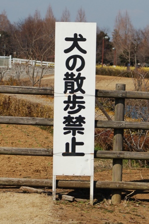 f0065768_15295580.jpg