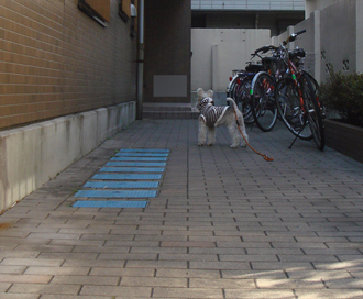 b0091373_0143537.jpg