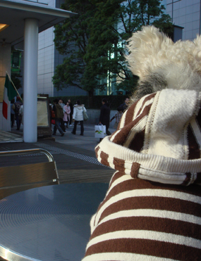 b0091373_015339.jpg