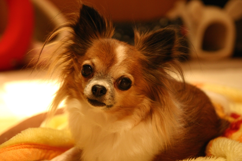 a0016775_018117.jpg