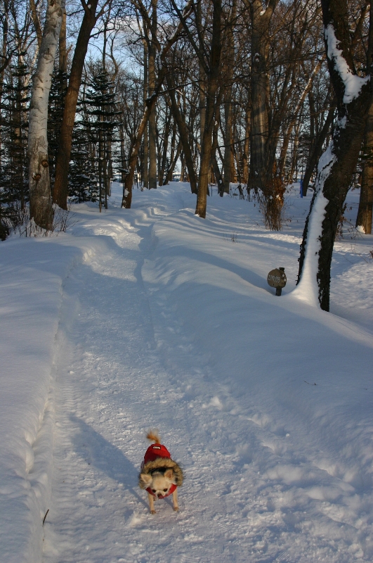 a0016775_2254599.jpg