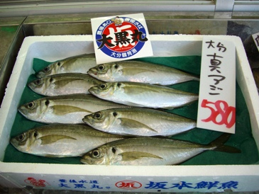 f0125585_9515339.jpg