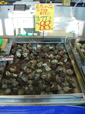 f0125585_9531376.jpg