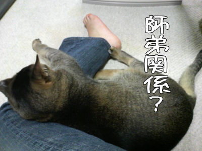 a0045990_0172960.jpg