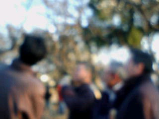 c0036690_12242652.jpg