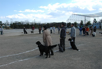 e0102491_11325818.jpg