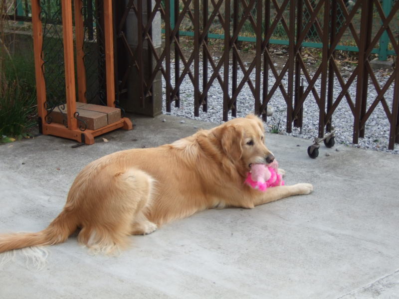 c0104492_022490.jpg