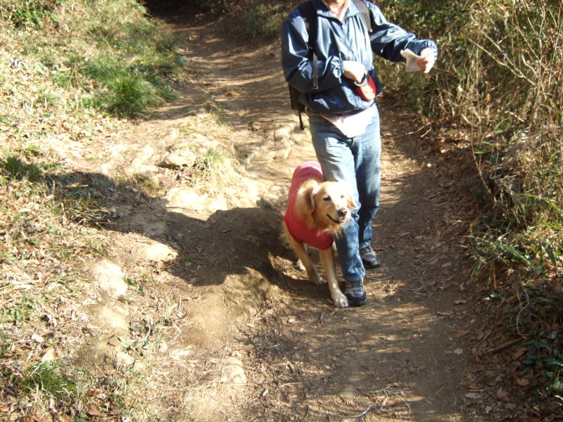 c0104492_140879.jpg