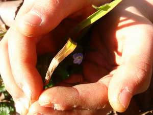 b0052394_2153039.jpg