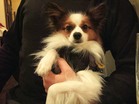 c0044199_22493397.jpg