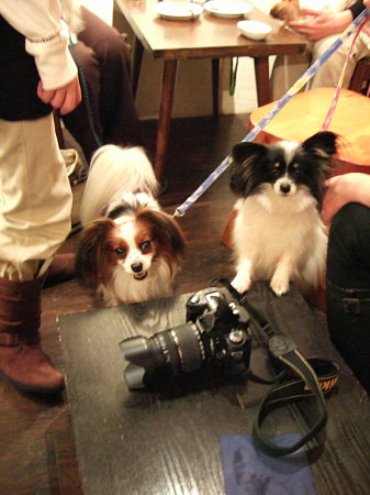 c0044199_2250318.jpg