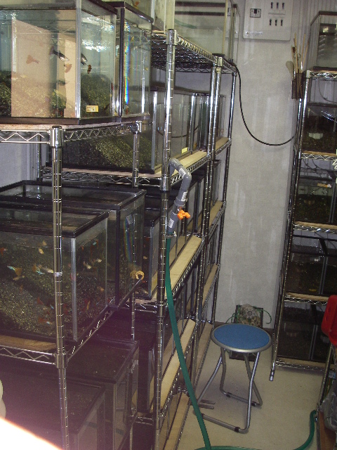 e0010301_16225825.jpg