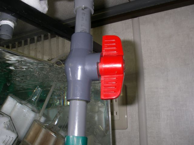 e0010301_16351036.jpg
