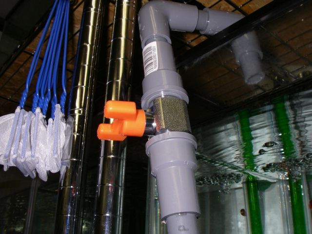e0010301_1645443.jpg
