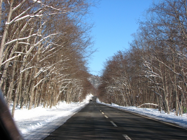 f0020302_21552684.jpg