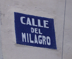 e0115312_450287.jpg