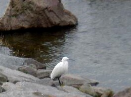 f0000521_10193991.jpg