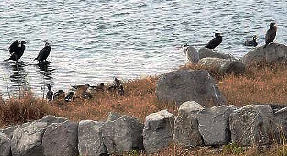 f0000521_10214222.jpg