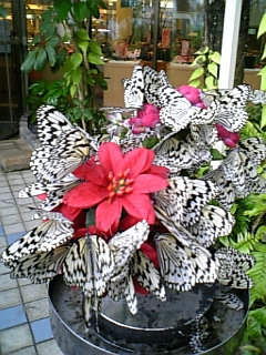 e0016828_201225.jpg