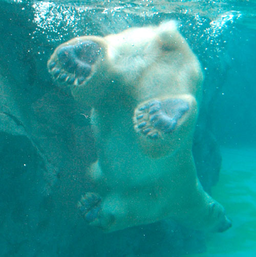 a0046429_21463411.jpg