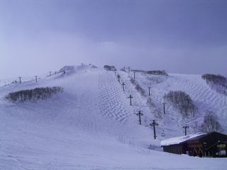f0065341_23353423.jpg