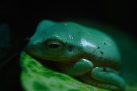 d0056263_13211178.jpg