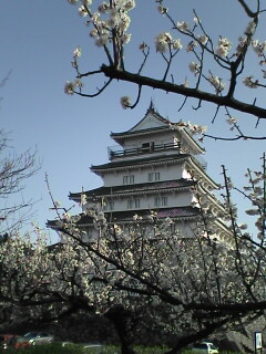 a0001668_16501865.jpg