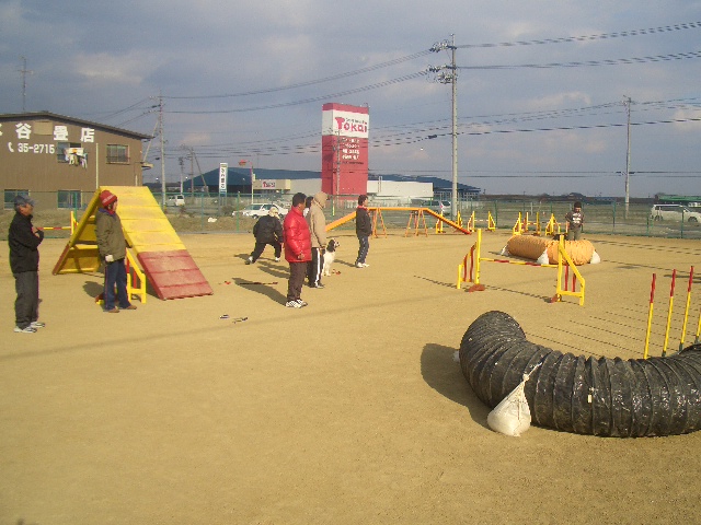 f0120770_1210742.jpg