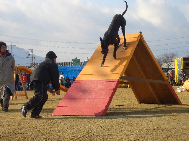 f0120770_12205994.jpg