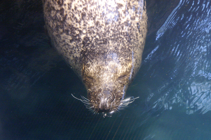 e0002371_953489.jpg
