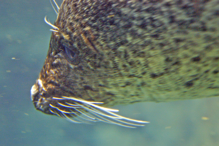 e0002371_954132.jpg