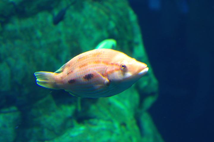 e0002371_9553066.jpg
